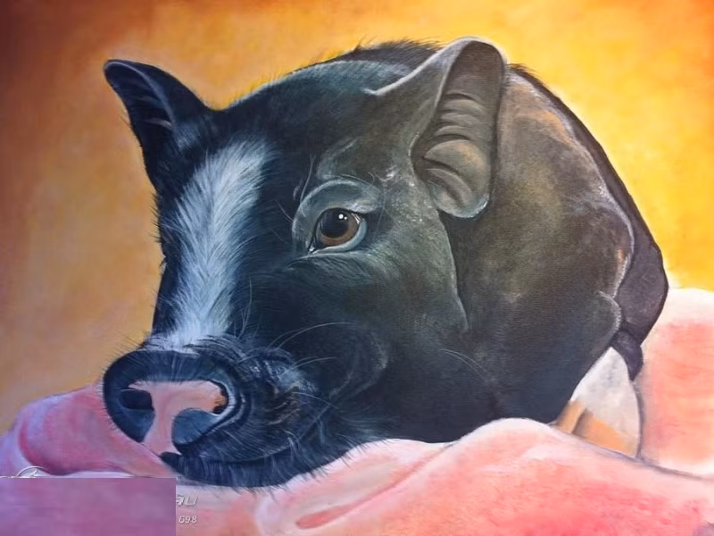 ‏ Tuổi Hợi. Trong 12 con giáp, người tuổi Hợi là một trong những con giáp có vận đào hoa lý tưởng, ai cũng quý mến nhờ sự chăm chỉ, tốt bụng, luôn có quý nhân giúp đỡ. 