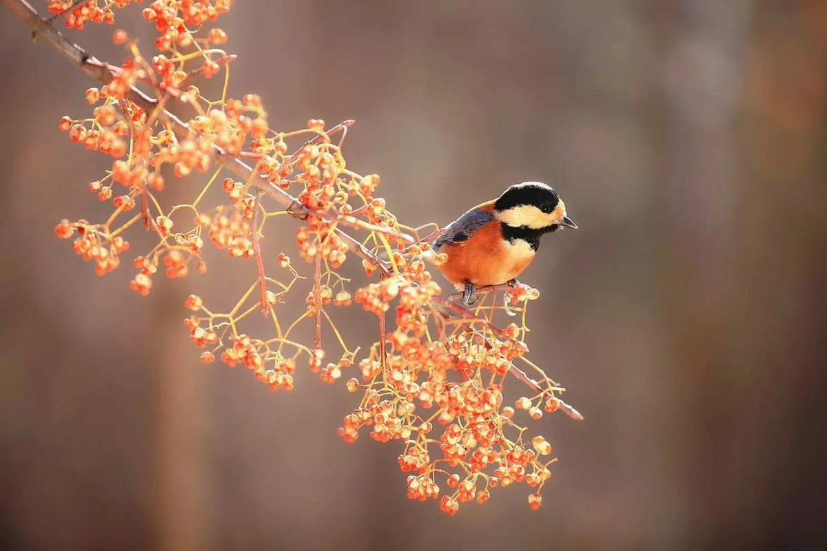 Cuoi thang 4, 4 con giap khong con lo lang ve tien bac-Hinh-3