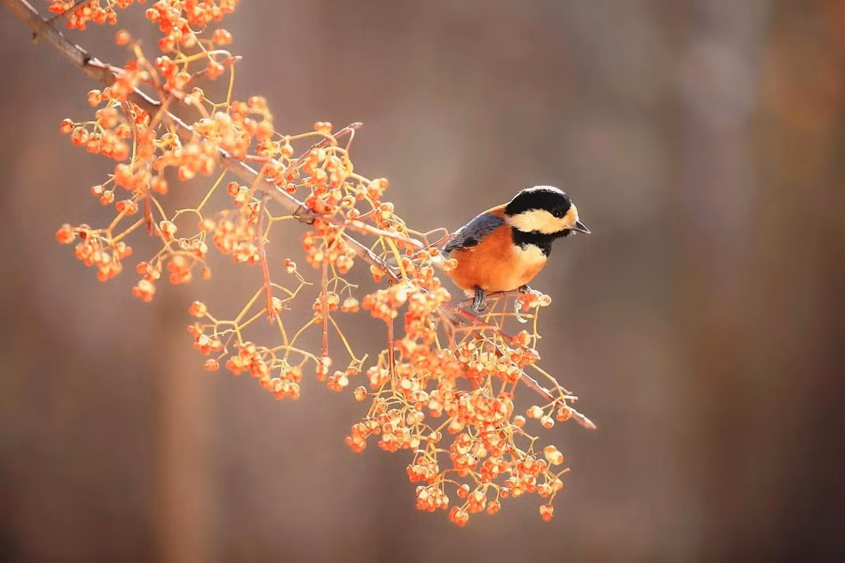 Cuoi thang 4, 4 con giap khong con lo lang ve tien bac-Hinh-3
