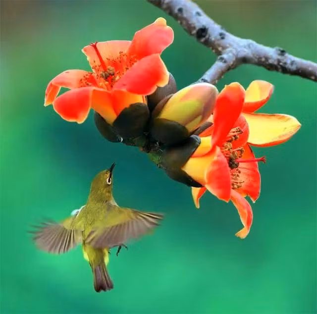 Cuoi thang 4, 4 con giap khong con lo lang ve tien bac-Hinh-4