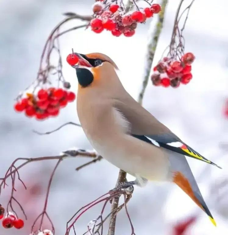 Cuoi thang 4, 4 con giap khong con lo lang ve tien bac-Hinh-2