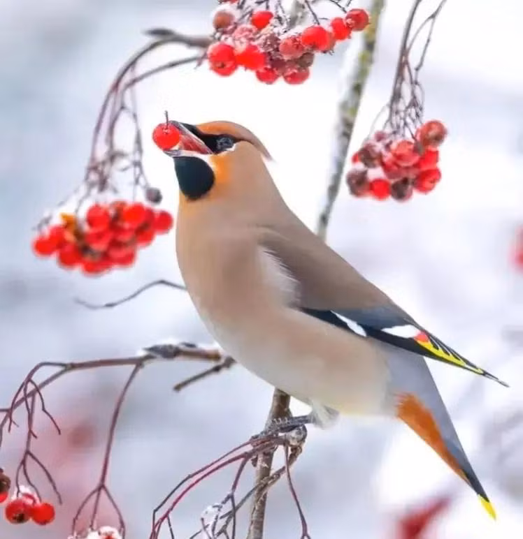 Cuoi thang 4, 4 con giap khong con lo lang ve tien bac-Hinh-2