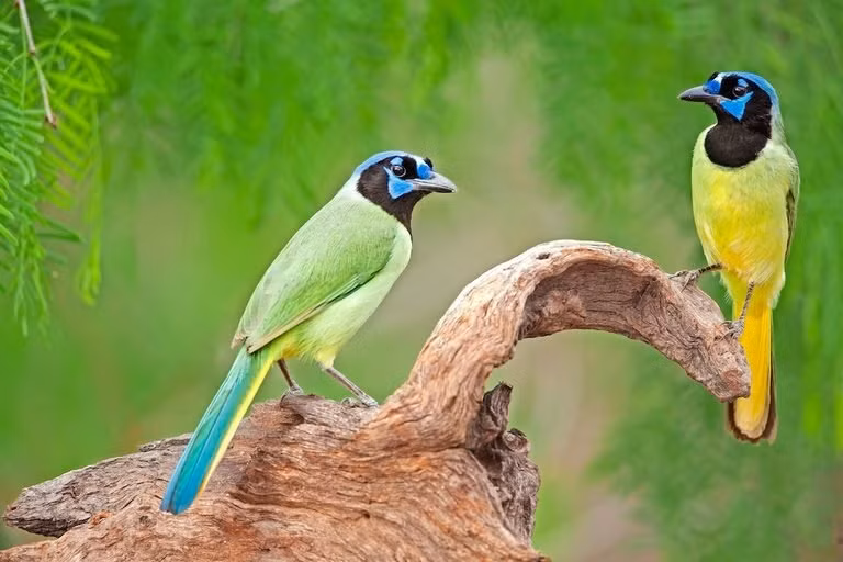 Cuoi thang 4, 4 con giap khong con lo lang ve tien bac