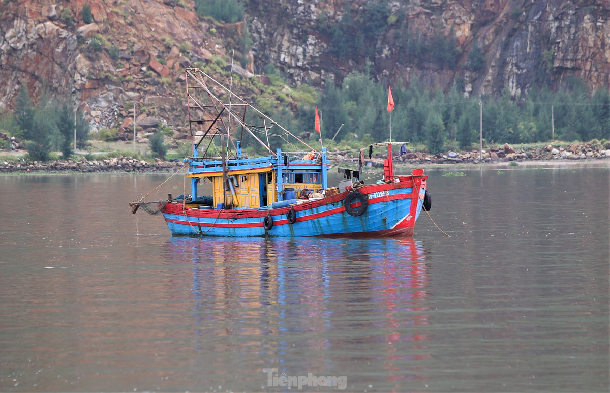 Tàu cá bắt đầu vươn khơi thu “lộc biển”