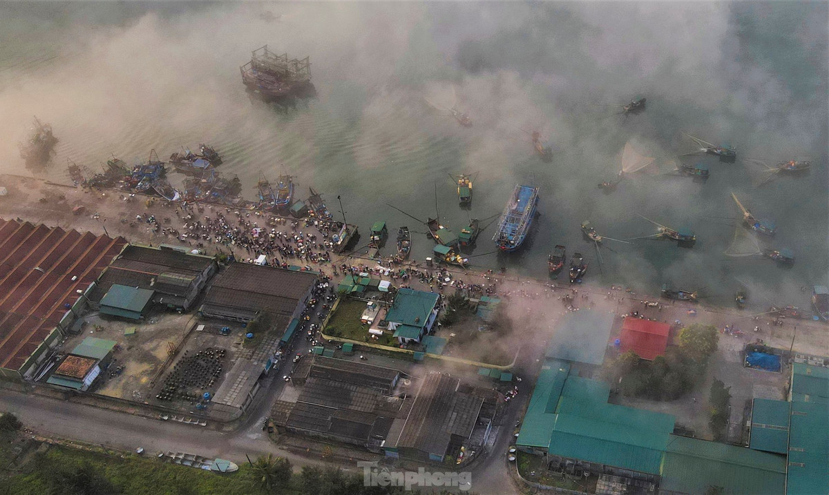 Từ sáng sớm, thuyền đánh bắt gần bờ đã cập cảng mang về đầy cá tôm, ngư dân phải làm việc luôn tay để đưa hải sản lên bờ.