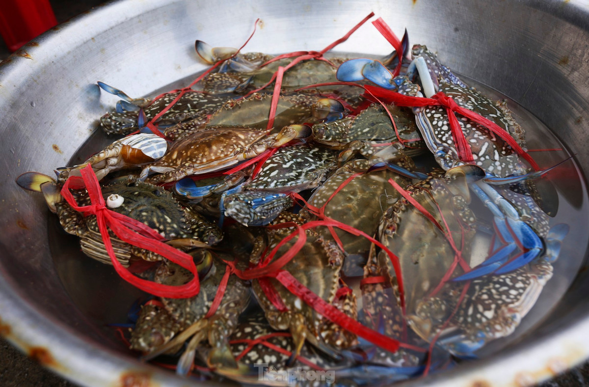 Lãnh đạo Ban Quản lý các Cảng cá Hà Tĩnh cho biết, tất cả các tàu thuyền vào tránh trú mưa bão đều đã xuất bến. Đội tàu đánh bắt ở vùng gần bờ (đi biển 1 - 2 ngày/chuyến) sau khi ra khơi đã mang hàng chục tấn ghẹ, cá, tôm, ốc vào bờ bán cho thương lái.