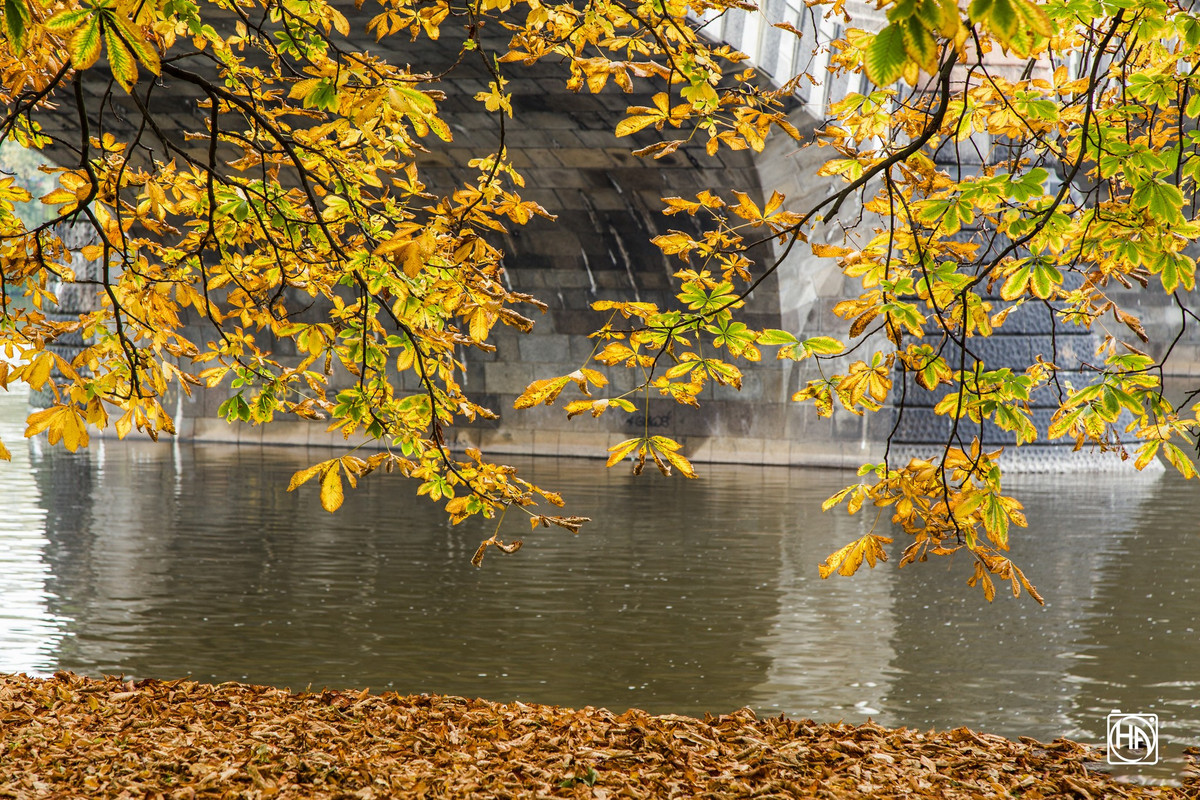 Khung cảnh mùa thu ở khu vực dưới chân cầu Legion (tiếng Séc là Most Legií, hay còn gọi là cầu quân đoàn). Đây là một trong tám cây cầu ở thủ đô Praha, nối liền giữa phố Národní (ở Phố cổ) với phố Újezd (ở Phố nhỏ). Cầu Legion cũng nằm trong danh sách các di tích văn hóa của quốc gia này. 
