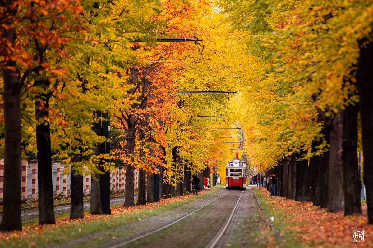 Đường tàu – cung đường dẫn tới thành cổ Praha là địa điểm check-in nổi tiếng, nhất là khi bước vào mùa đẹp nhất trong năm. Nhiều du khách gọi vui đây là góc chụp “thần thánh” vì chỉ cần đứng tại đây, bất cứ ai cũng có loạt ảnh đẹp như những thước phim.