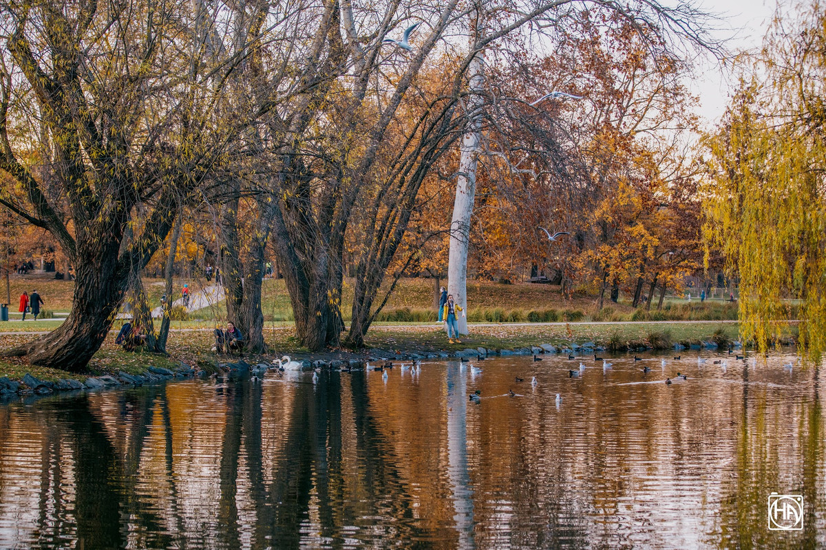 Công viên Královská Obora - Stromovka (Công viên Hoàng gia) là một trong những địa điểm đón thu đẹp được nhiều du khách lựa chọn ghé thăm khi tới thủ đô Praha. Công viên này có diện tích rộng lớn, không gian xanh mát và trong lành với nhiều hoạt động thú vị và đặc sắc. Tại đây, ngoài đi dạo, tận hưởng cảnh sắc mùa thu tuyệt đẹp, du khách còn có thể khám phá cung thiên văn, tham gia chơi quần vợt, bóng chuyền hay ghé nhà hàng thưởng thức đặc sản của CH Séc và châu Âu,…