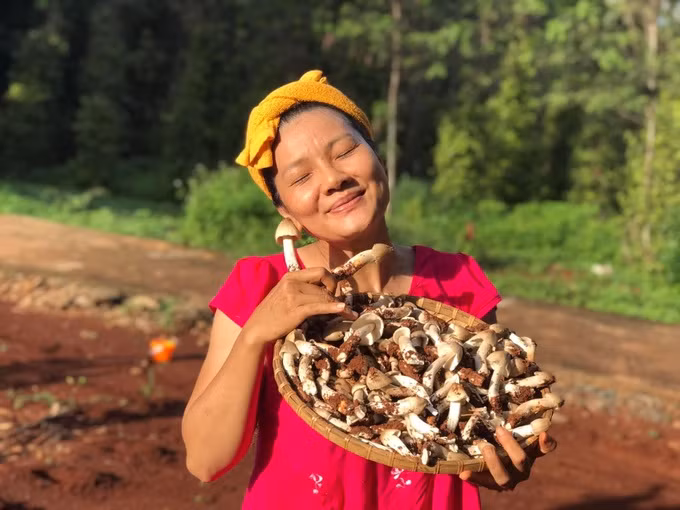 Cuộc sống của "nữ hoàng cảnh nóng" Kiều Trinh ở nhà vườn 5.000m2 - Hình 4 Cuoc song cua