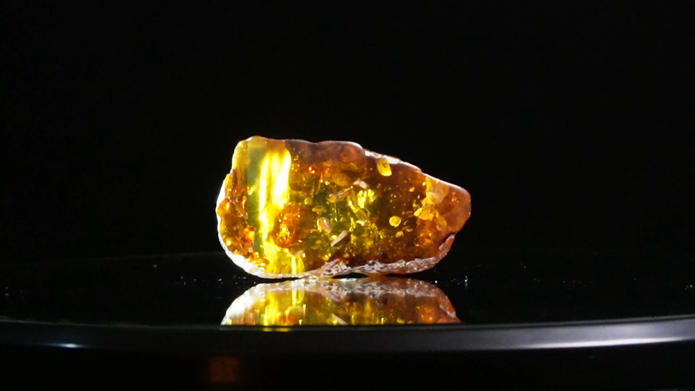 Nước trong viên hổ phách 99 triệu năm tuổi: Thấy gì dưới kính hiển vi? - Hình 3 Nuoc trong vien ho phach 99 trieu nam tuoi: Thay gi duoi kinh hien vi?-Hinh-3