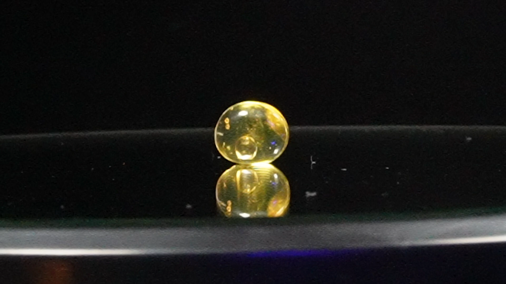 Nước trong viên hổ phách 99 triệu năm tuổi: Thấy gì dưới kính hiển vi? - Hình 2 Nuoc trong vien ho phach 99 trieu nam tuoi: Thay gi duoi kinh hien vi?-Hinh-2