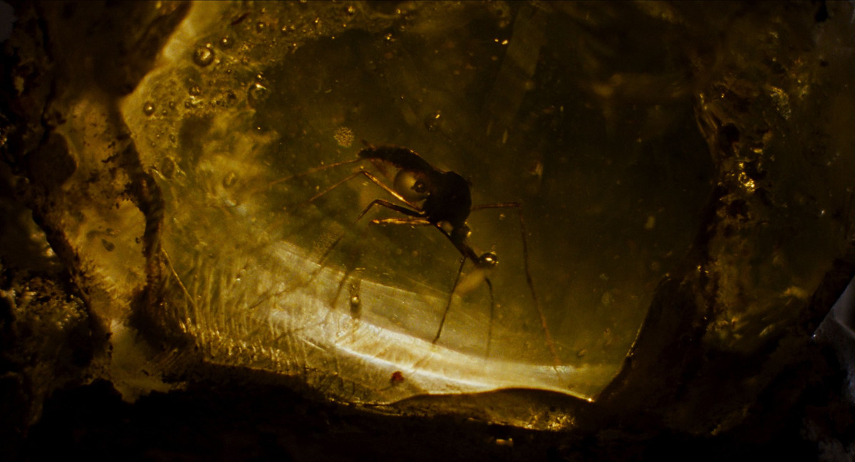 Nước trong viên hổ phách 99 triệu năm tuổi: Thấy gì dưới kính hiển vi? - Hình 5 Nuoc trong vien ho phach 99 trieu nam tuoi: Thay gi duoi kinh hien vi?-Hinh-5