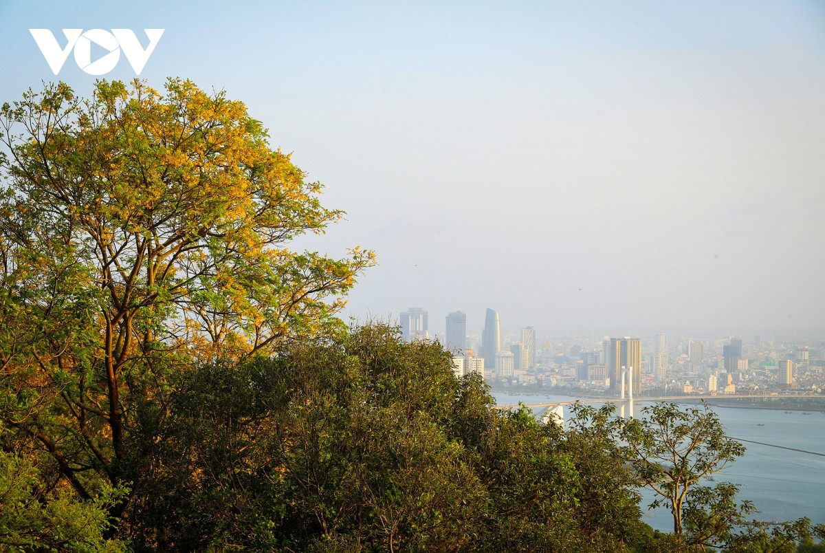 Những khoảnh khắc đẹp như tranh ở bán đảo Sơn Trà - Hình 5 Nhung khoanh khac dep nhu tranh o ban dao Son Tra-Hinh-5