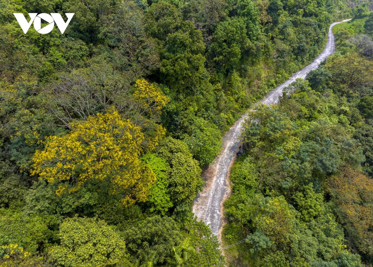 Những khoảnh khắc đẹp như tranh ở bán đảo Sơn Trà - Hình 3 Nhung khoanh khac dep nhu tranh o ban dao Son Tra-Hinh-3