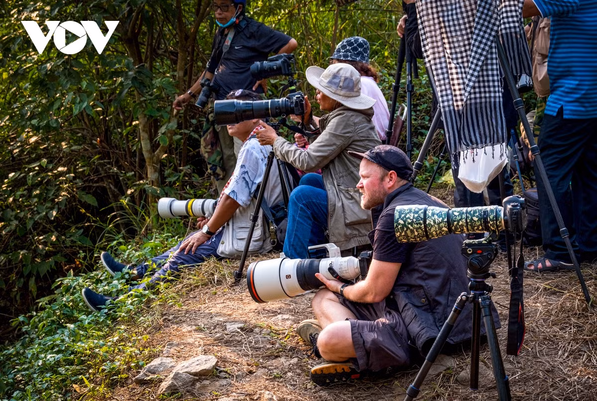 Nhung khoanh khac dep nhu tranh o ban dao Son Tra-Hinh-7
