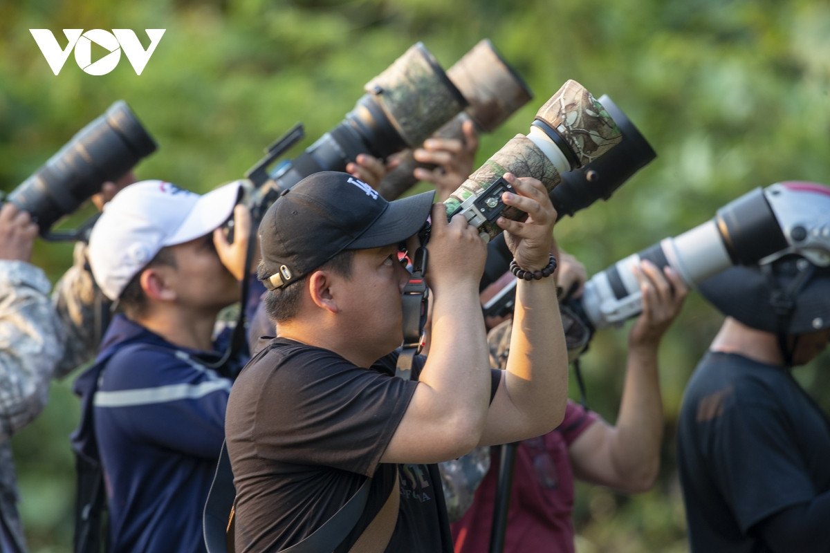 Những khoảnh khắc đẹp như tranh ở bán đảo Sơn Trà - Hình 15 Nhung khoanh khac dep nhu tranh o ban dao Son Tra-Hinh-15