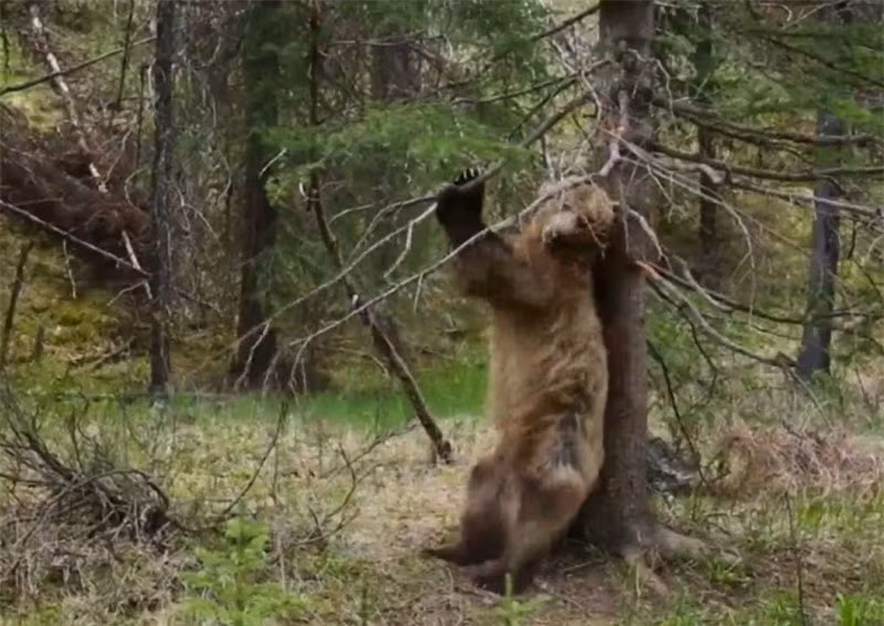 Video: Man “mua cot” sieu hai huoc cua 