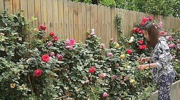 Vo My Nuong - Chau Hai My tuoi U60: Khong dan ong van on!-Hinh-3