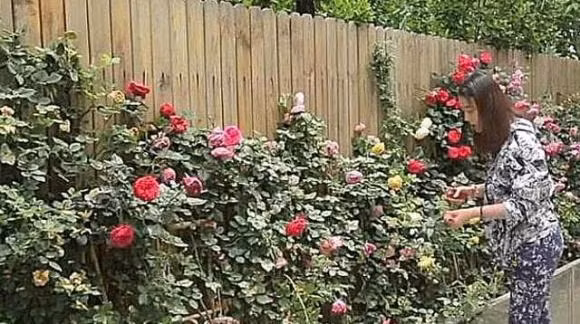 Vo My Nuong - Chau Hai My tuoi U60: Khong dan ong van on!-Hinh-3