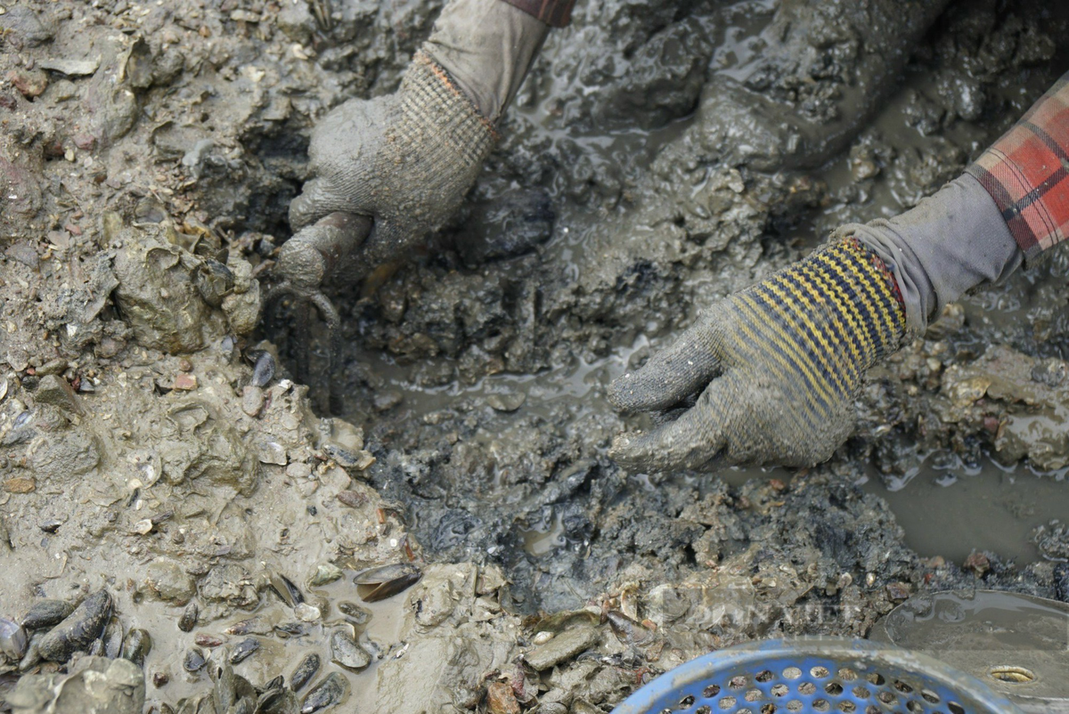 Nghề này phải ngồi cặm cụi suốt 5-6 tiếng nên người lúc nào cũng đau ê ẩm, bất cẩn còn bị đá nhọn đâm rách chân tay chảy máu.