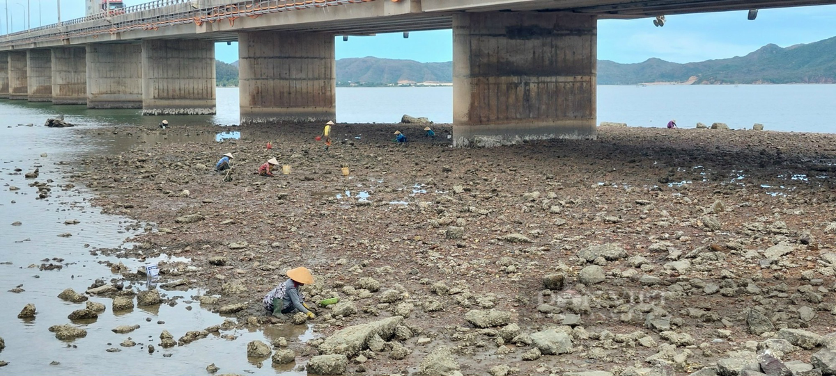 "Ngoài làm ruộng, rảnh lúc nào là vợ chồng tôi ra đầm kiếm kế sinh nhai, nhờ vậy mà nuôi 5 người con lớn lên", bà Mười thổ lộ thêm.