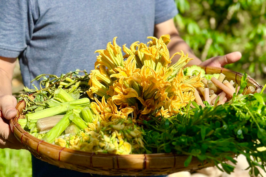 Các loại rau do chính tay diễn viên Huỳnh Anh Tuấn trồng trong vườn nhà.