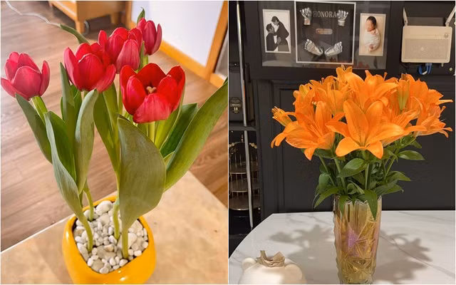 Ít ai biết, Pha Lê từng ghét hoa. Cô đã tâm sự rằng: "Thề, xưanay ghét hoa, không hề có nhu cầu hoa với hoét mí lại cứ trồng haycắm là chẳng bao giờ nở, toàn chết, chết lên chết xuống!"