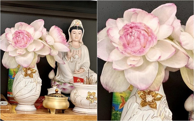 Nữ ca sĩ chia sẻ vào đầu tháng âm lịch: "Mùng 1 con cắm hoa sen,mẹ thương mẹ độ cho Ốc sớm khoẻ lại nha mẹ".