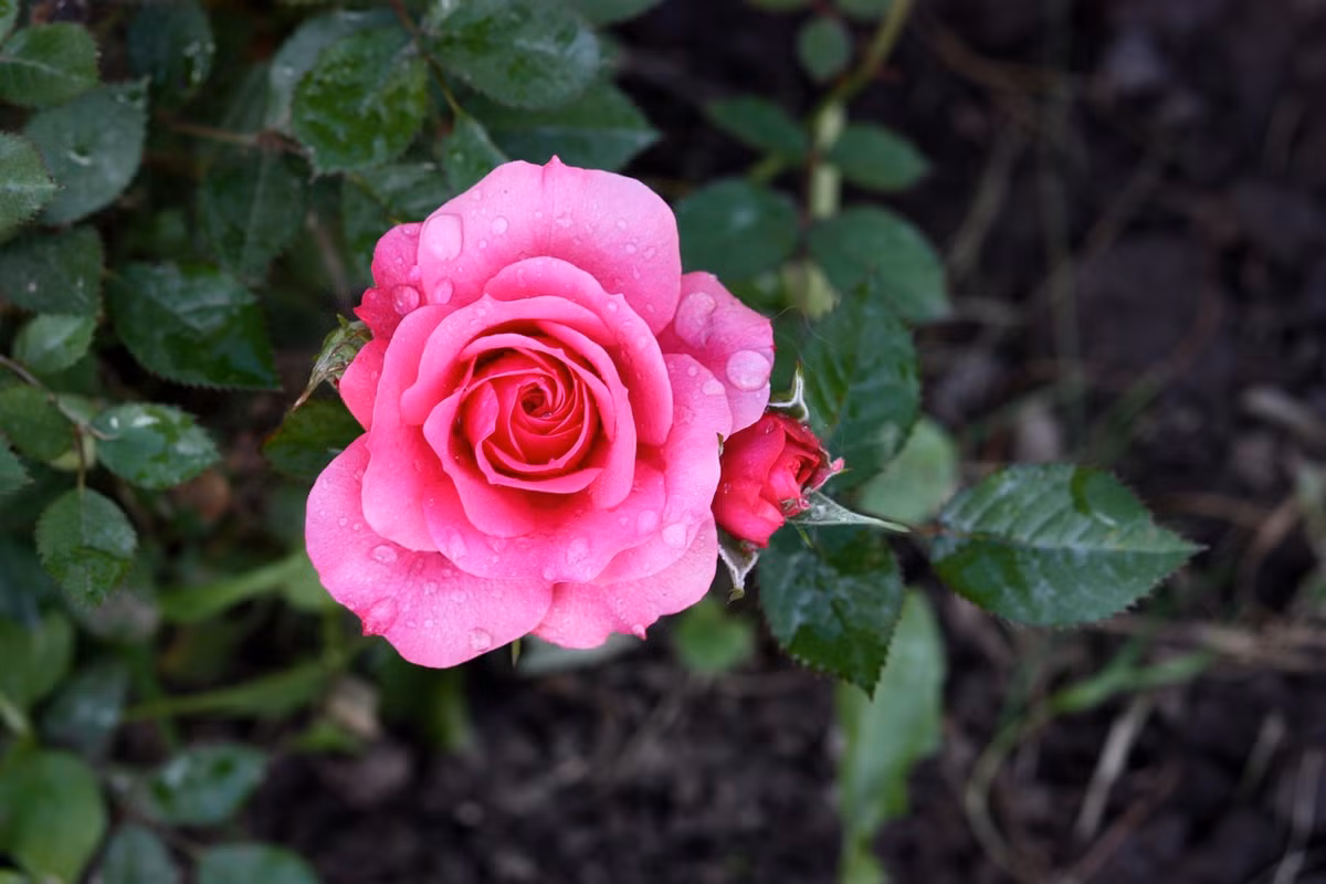 Sinh thang Am lich nay tinh tinh ngay thang, co quy nhan che cho