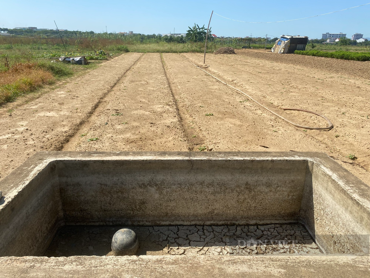 Các bể chứa nước tưới tại làng rau La Hường cạn trơ đáy. Nhiều hộ dân bỏ không đất canh tác.