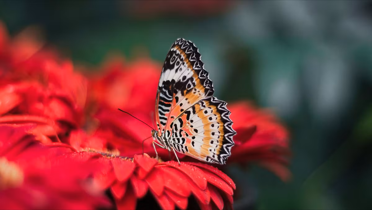 Ai sinh thang Am lich nay quy nhan tro luc, tuong lai ruc ro-Hinh-3