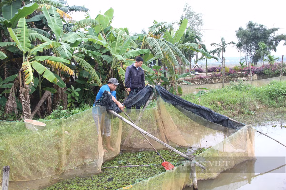 Chang trai Quang Tri “giau” hang tram trieu dong duoi ao dat-Hinh-2