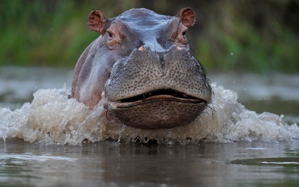 Ha ma cua ong trum khet tieng Escobar bi 