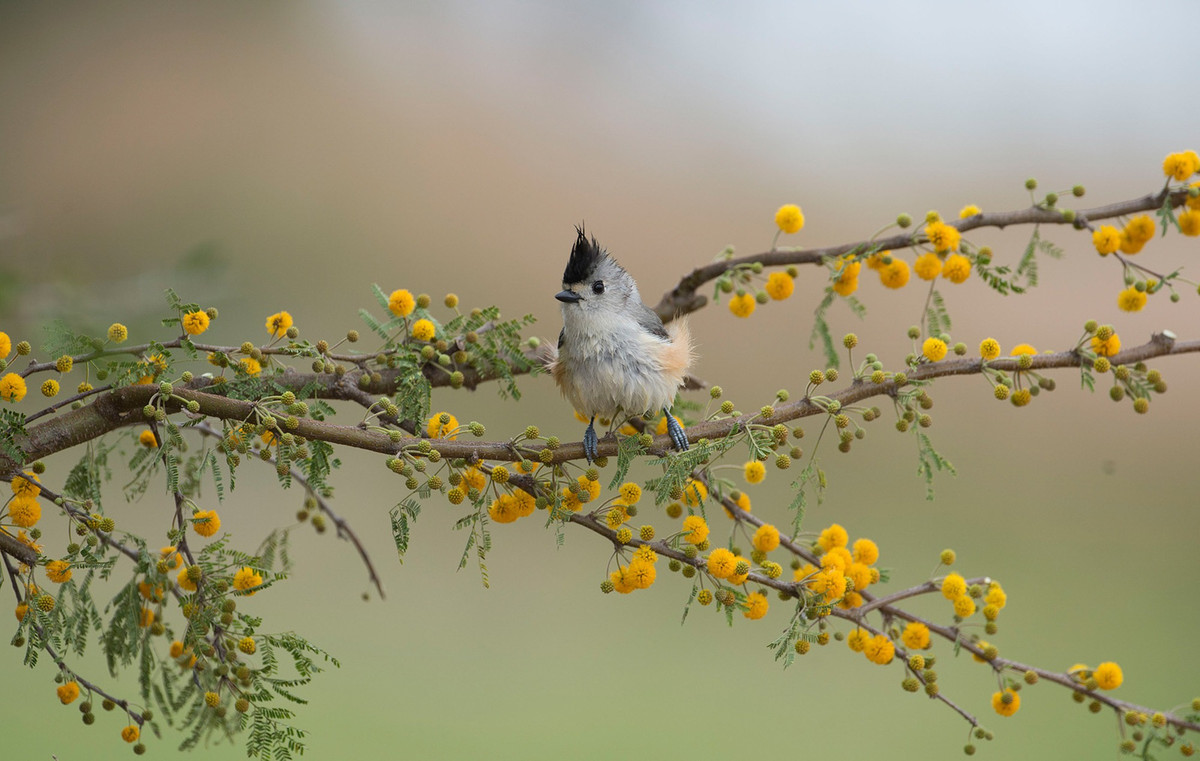 Sinh thang Am lich nay co su nghiep vung vang, tuong lai ruc ro
