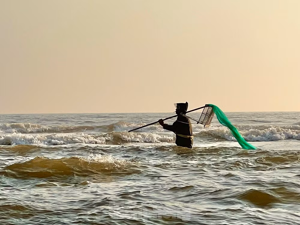 Ra bien bat oc be bang mong tay, ngu dan kiem bon tien moi sang-Hinh-6