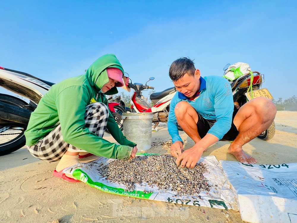 Ra bien bat oc be bang mong tay, ngu dan kiem bon tien moi sang-Hinh-19