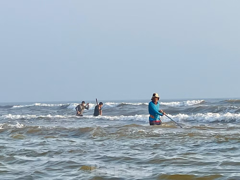 Ra bien bat oc be bang mong tay, ngu dan kiem bon tien moi sang-Hinh-13