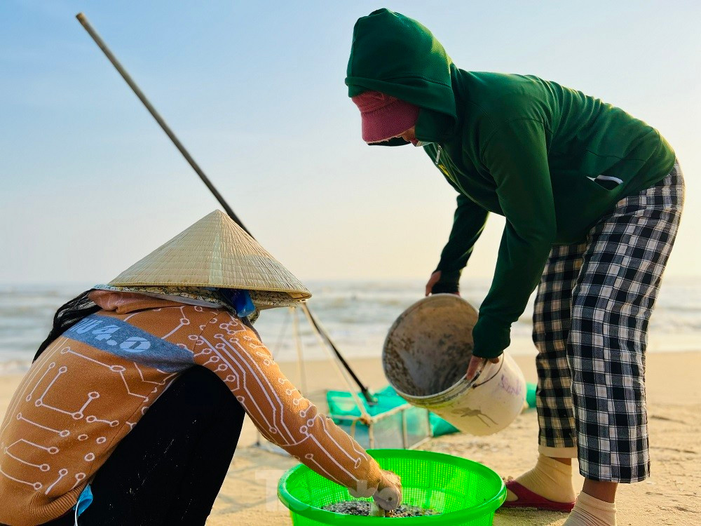 Ra bien bat oc be bang mong tay, ngu dan kiem bon tien moi sang-Hinh-20