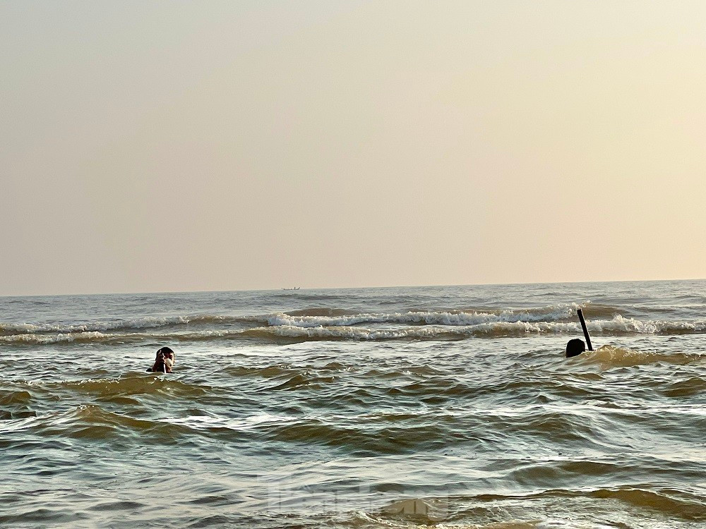 Ra bien bat oc be bang mong tay, ngu dan kiem bon tien moi sang-Hinh-12