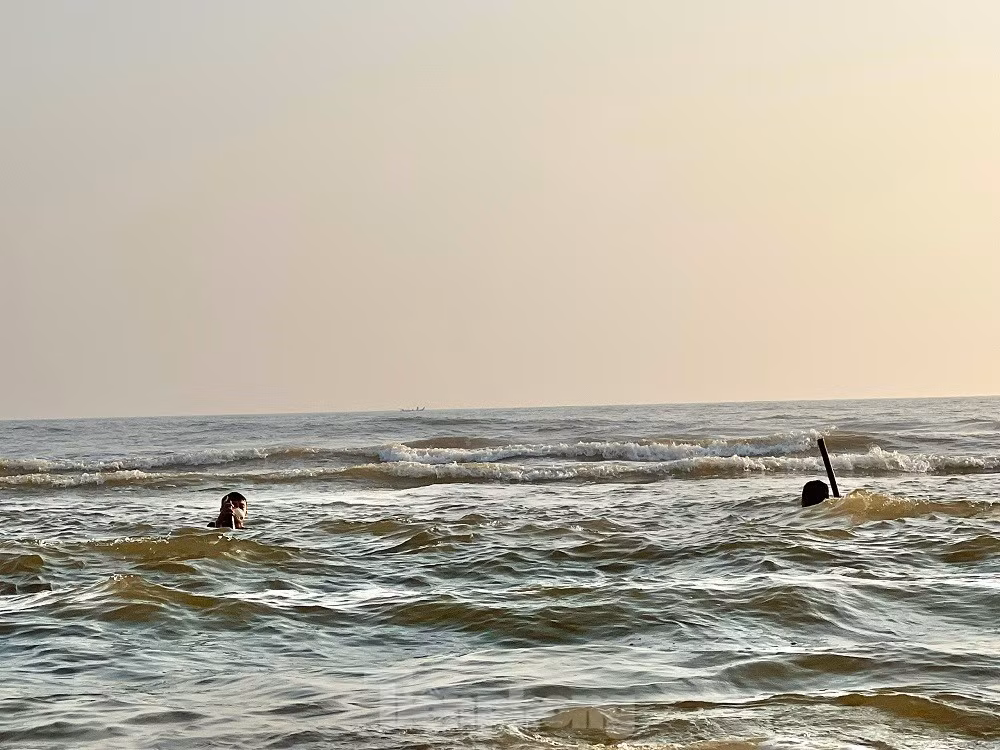 Ra bien bat oc be bang mong tay, ngu dan kiem bon tien moi sang-Hinh-12