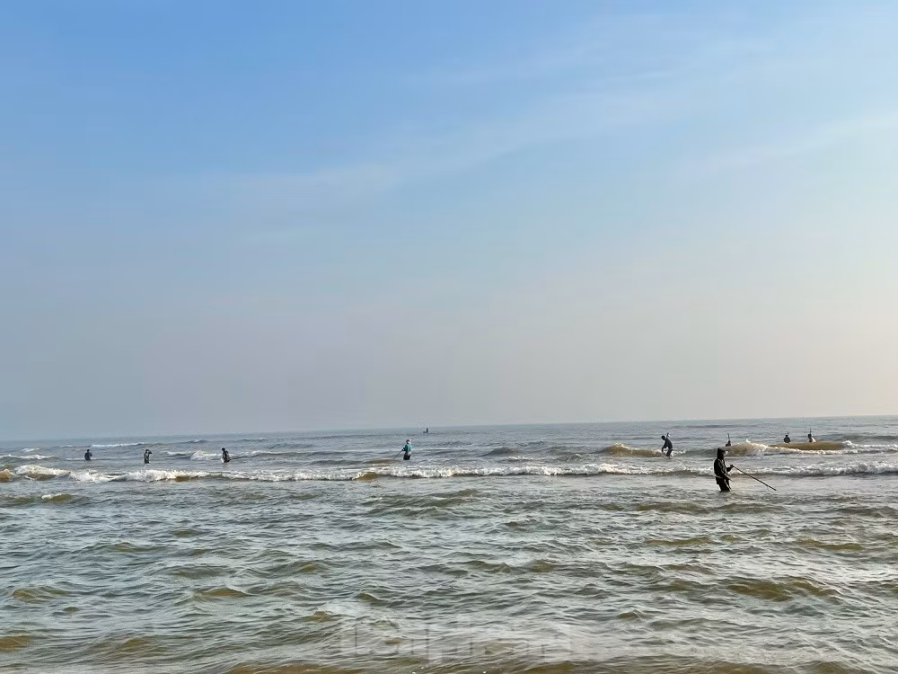 Ra bien bat oc be bang mong tay, ngu dan kiem bon tien moi sang-Hinh-16