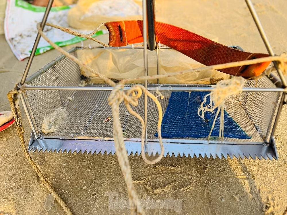 Ra bien bat oc be bang mong tay, ngu dan kiem bon tien moi sang-Hinh-23