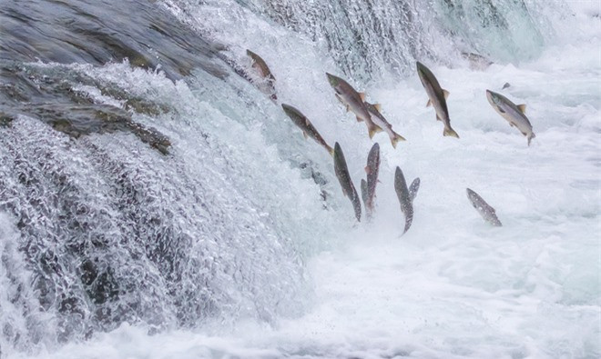 Loài vật duy nhất cứ "yêu" là Trái đất rung chuyển Loai vat duy nhat cu