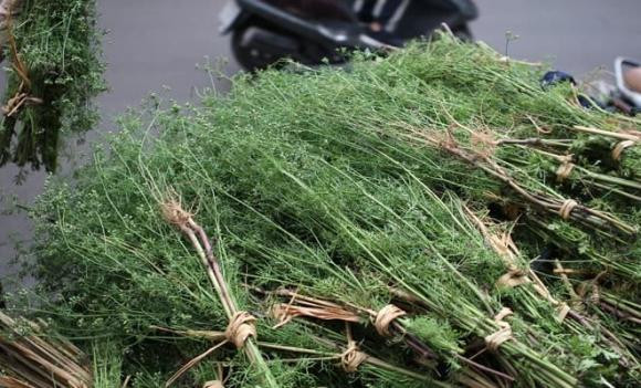 3 loai la cang dung co the cang thom-Hinh-4