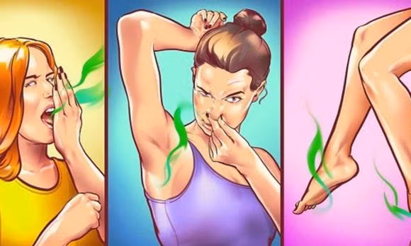 3 loai la cang dung co the cang thom