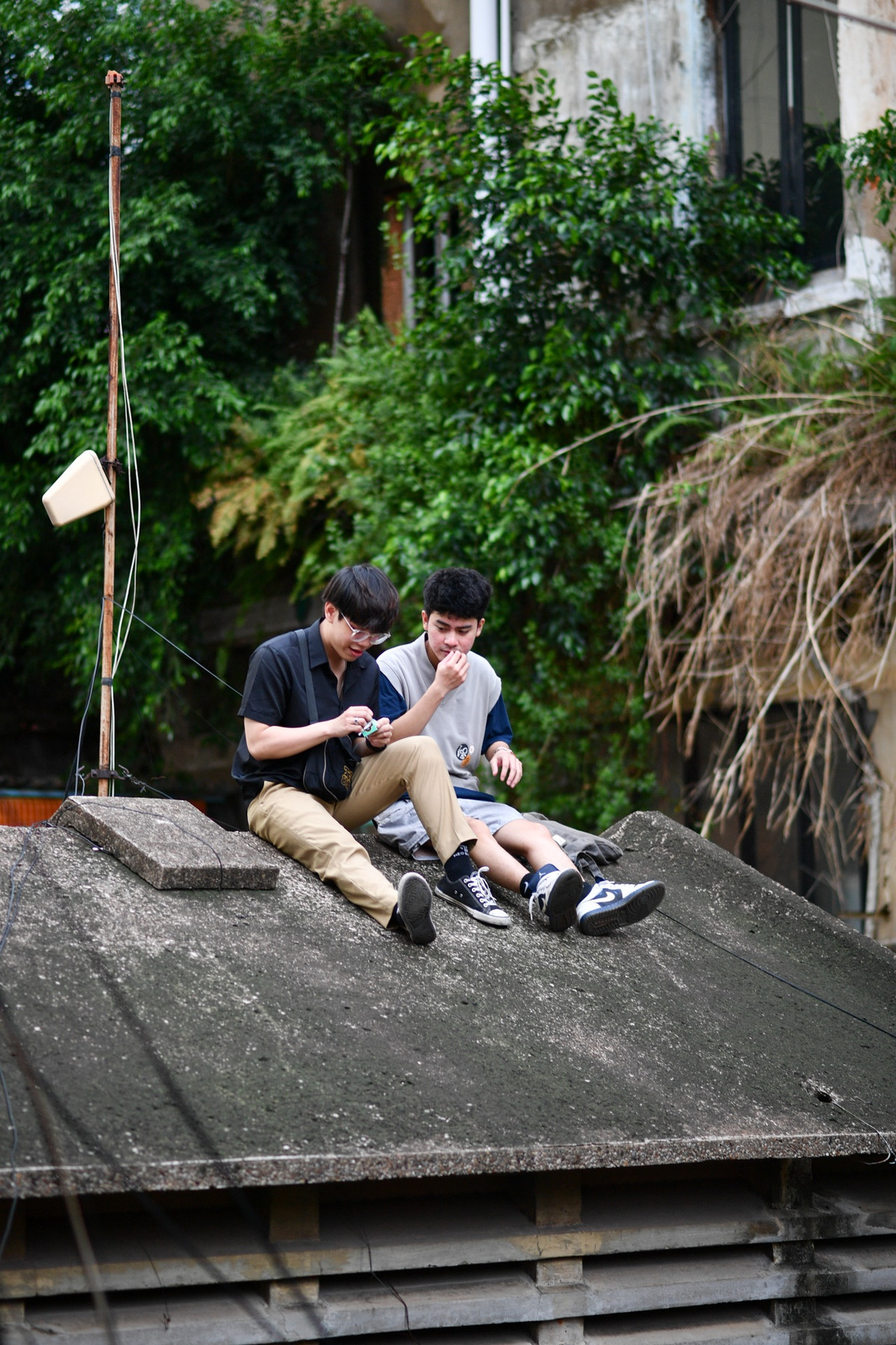 Lợi và Hào thích thú ngồi nói chuyện, uống cà phê trên trên mái nhà. "Đây là lần thứ 3 mình đến quán. Mặc dù phải trèo lên xuống khá khó khăn nhưng mình thích cảm giác này ngồi ở đây, không gian yên tĩnh và rất chill", Hào chia sẻ.