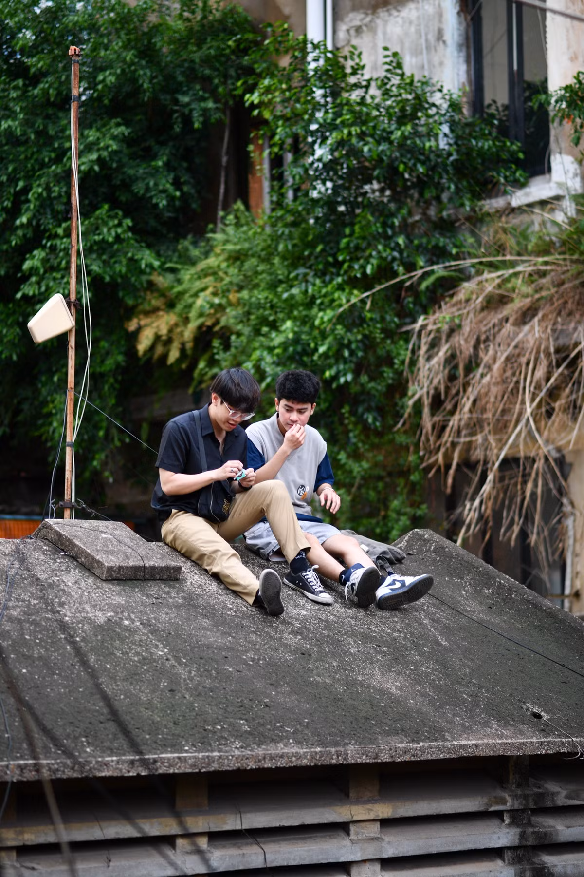 Lợi và Hào thích thú ngồi nói chuyện, uống cà phê trên trên mái nhà. "Đây là lần thứ 3 mình đến quán. Mặc dù phải trèo lên xuống khá khó khăn nhưng mình thích cảm giác này ngồi ở đây, không gian yên tĩnh và rất chill", Hào chia sẻ.