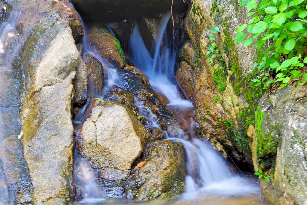  Suối Thanh Long được bắt nguồn từ những mạch nước ngầm trong lòng đất và len lỏi qua các khe đá tạo thành một dòng suối lớn. Ảnh: Dương Việt Anh