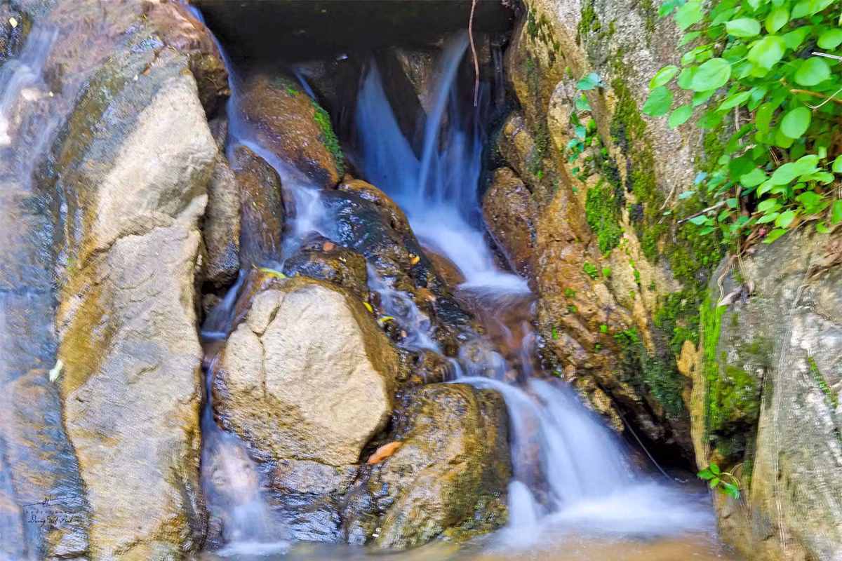  Suối Thanh Long được bắt nguồn từ những mạch nước ngầm trong lòng đất và len lỏi qua các khe đá tạo thành một dòng suối lớn. Ảnh: Dương Việt Anh